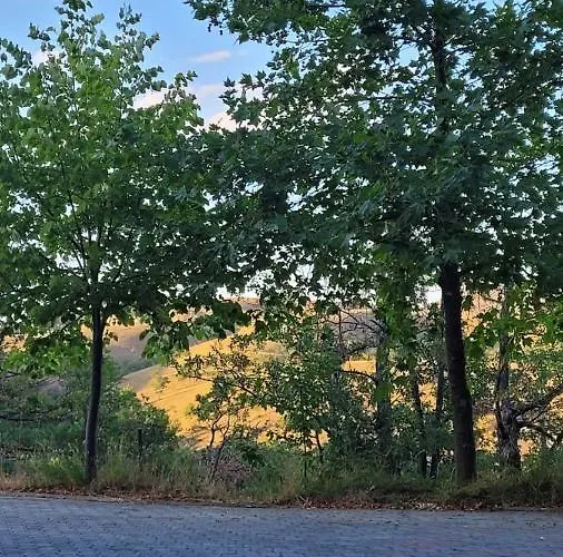 Kata Διαμέρισμα *