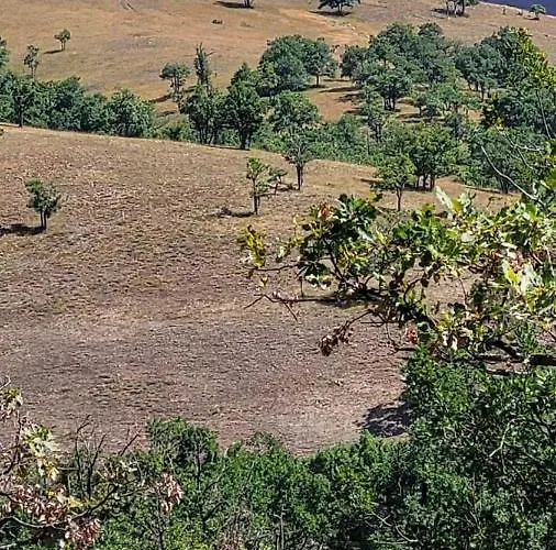 Kata Διαμέρισμα *